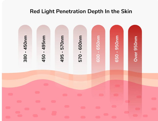 skin 590nm functions skin 590nm functions
